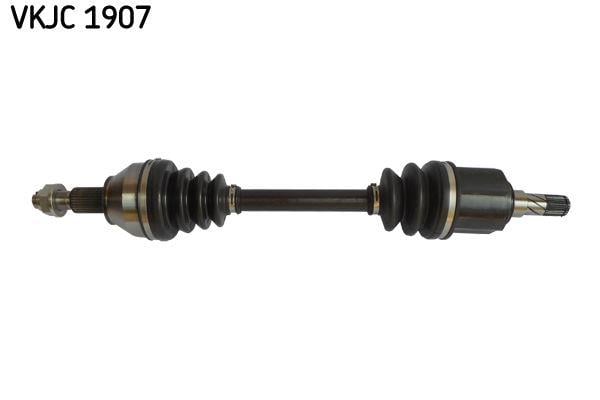 RULMAN VKJC 1907
