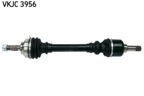 RULMAN VKJC 3956