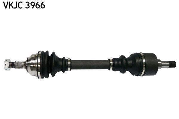RULMAN VKJC 3966