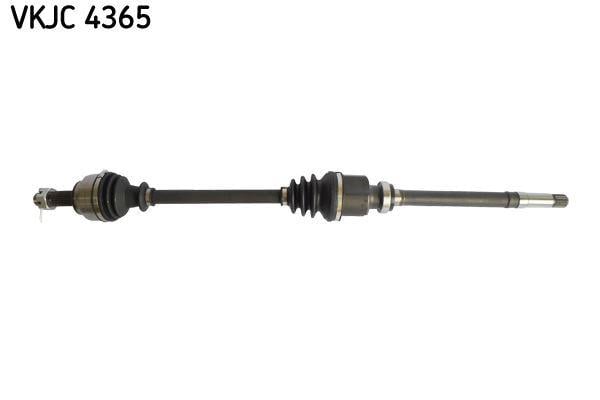 RULMAN VKJC 4365