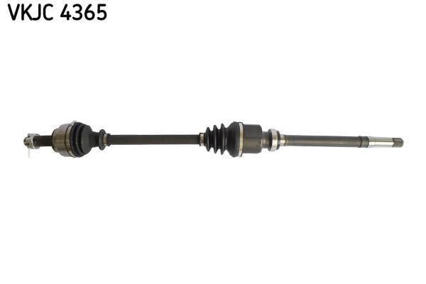 RULMAN VKJC 4365