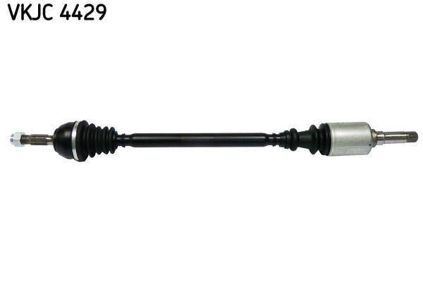 RULMAN VKJC 4429