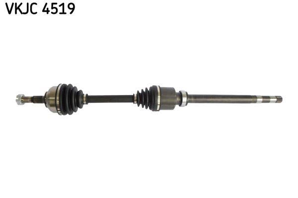 RULMAN VKJC 4519