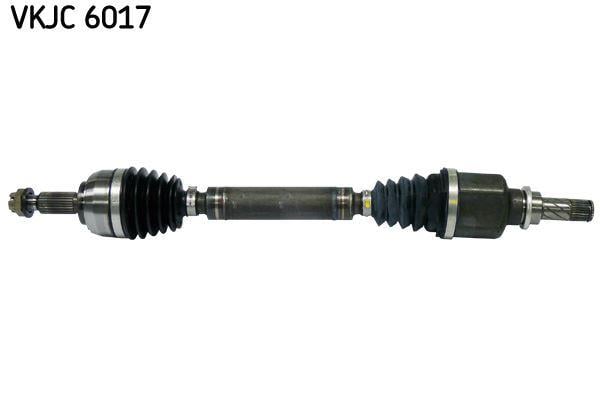 RULMAN VKJC 6017