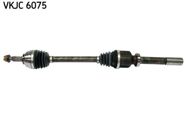 RULMAN VKJC 6075