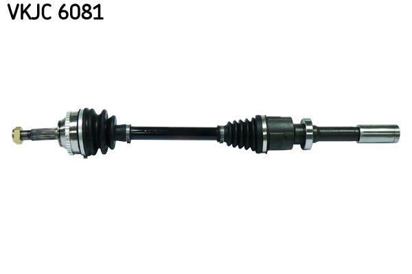 RULMAN VKJC 6081