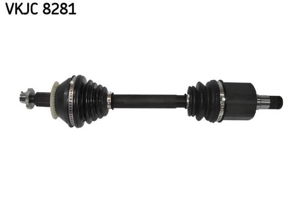RULMAN VKJC 8281