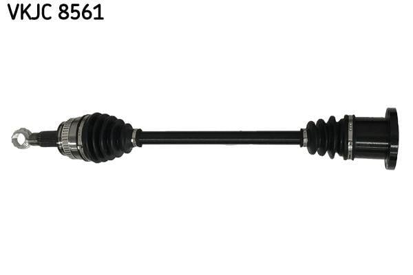 RULMAN VKJC 8561
