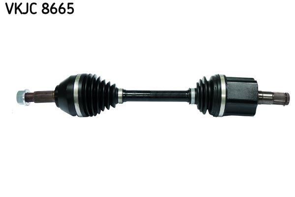 RULMAN VKJC 8665
