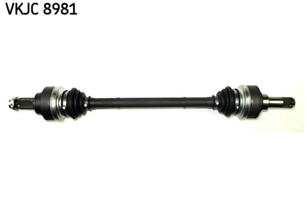 RULMAN VKJC 8981