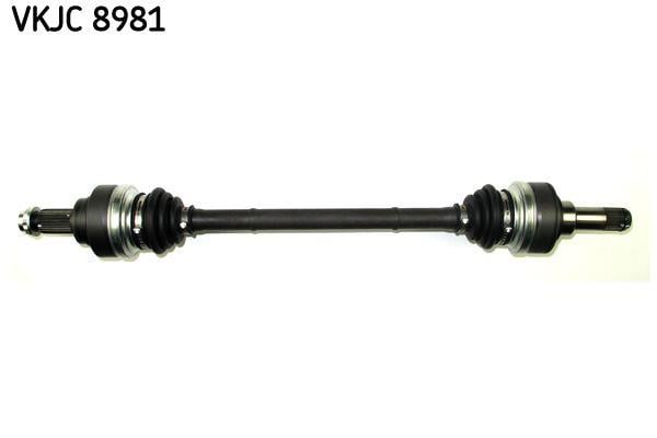 RULMAN VKJC 8981