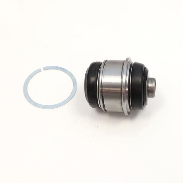 SALINCAK BURCU