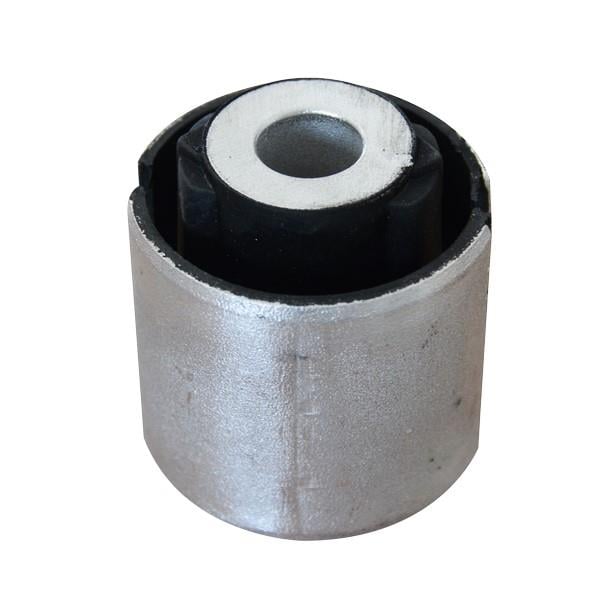 SALINCAK BURCU TRANSPORTER-EUROVAN