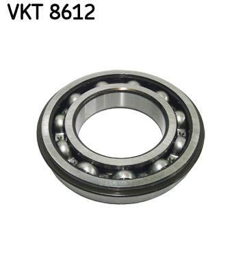 ŞANZIMAN RULMANI