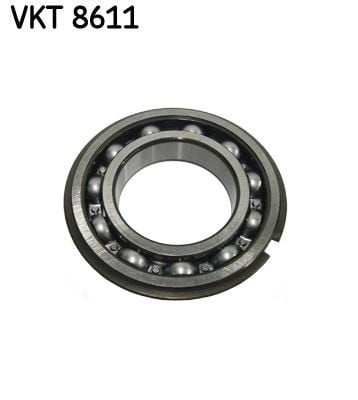 ŞANZIMAN RULMANI