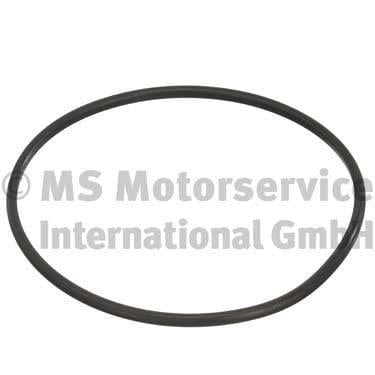 SEAL FUEL TANK DACIA
