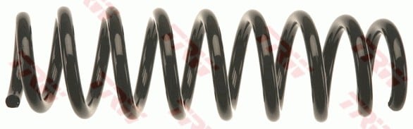 SÜSPANSİYON YAYİ ARKA AKS BMW 1 CONVERTİBLE E88 -1 COUPE E82 -