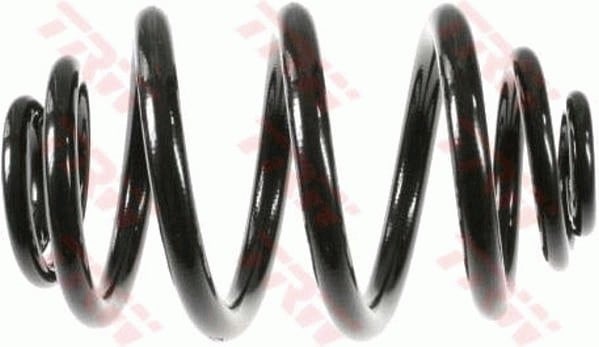 SÜSPANSİYON YAYİ ARKA AKS BMW 3 E46 -3 COUPE E46 -