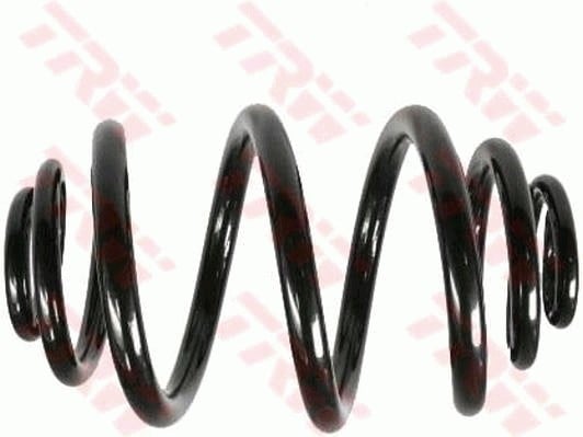 SÜSPANSİYON YAYİ ARKA AKS BMW 3 E46 -3 COUPE E46 -