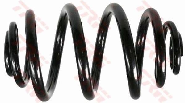 SÜSPANSİYON YAYİ ARKA AKS BMW 3 E46 -3 COUPE E46 -