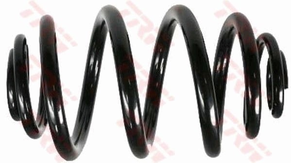 SÜSPANSİYON YAYİ ARKA AKS BMW 3 E46 -3 COUPE E46 -