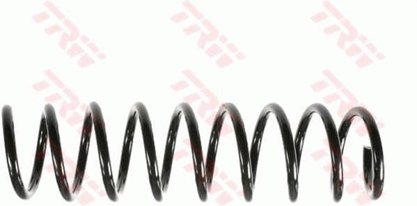 SÜSPANSİYON YAYİ ARKA AKS BMW 5 E39 -