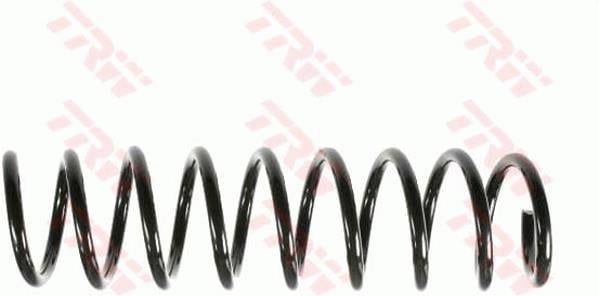 SÜSPANSİYON YAYİ ARKA AKS BMW 5 E39 -