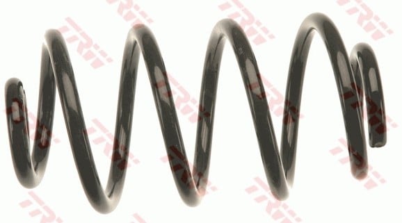 SÜSPANSİYON YAYİ ARKA AKS RENAULT CLIO III BR0/1-CR0/1 -