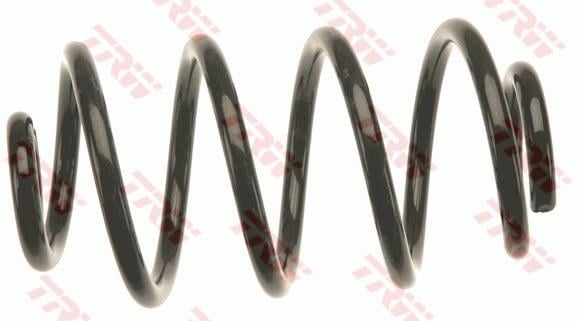 SÜSPANSİYON YAYİ ARKA AKS RENAULT CLIO III BR0/1-CR0/1 -