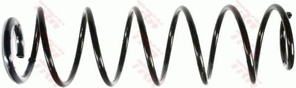 SÜSPANSİYON YAYİ ARKA AKS RENAULT LAGUNA II BG0/1 -