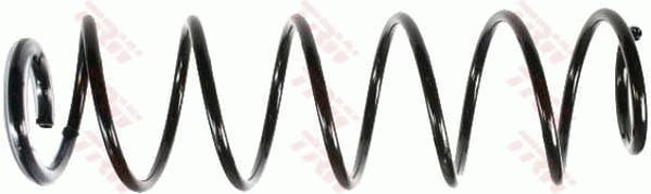 SÜSPANSİYON YAYİ ARKA AKS RENAULT LAGUNA II BG0/1 -