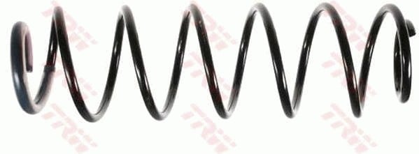 SÜSPANSİYON YAYİ ARKA AKS RENAULT LAGUNA II BG0/1 -