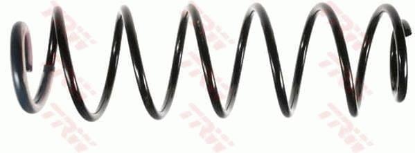 SÜSPANSİYON YAYİ ARKA AKS RENAULT LAGUNA II BG0/1 -