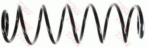 SÜSPANSİYON YAYİ ARKA AKS RENAULT LAGUNA II GRANDTOUR KG0/1 -