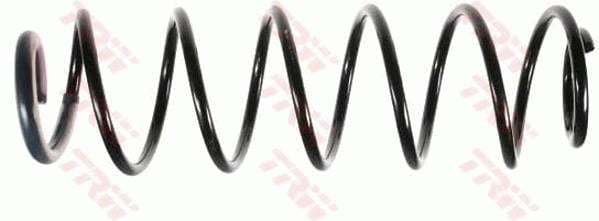 SÜSPANSİYON YAYİ ARKA AKS RENAULT LAGUNA II BG0/1 -