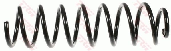 SÜSPANSİYON YAYİ ARKA AKS RENAULT MEGANE II BM0/1- CM0/1 -