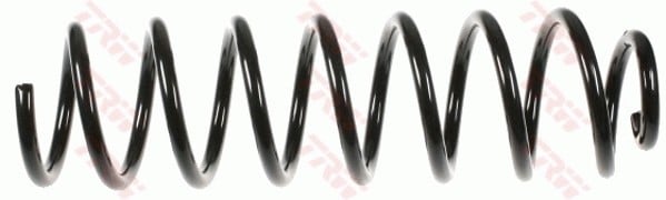 SÜSPANSİYON YAYİ ARKA AKS RENAULT MEGANE II BM0/1- CM0/1 -