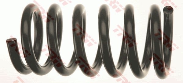 SÜSPANSİYON YAYİ ÖN AKS FORD TRANSIT BUS E -TRANSIT VAN E -