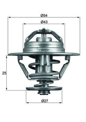 TERMOSTAT 74C MASTER 2.5 D-2.5 TD-2.8 DTI 76C