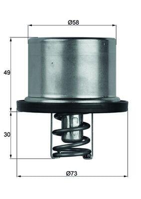 TERMOSTAT BMW 5 E39 79C