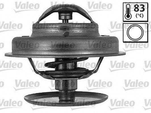 TERMOSTAT FORD PEUGEOT