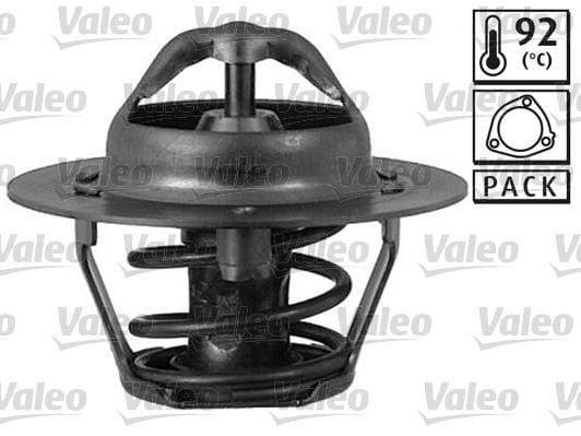 TERMOSTAT FORD USA