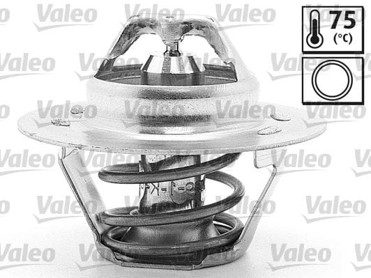 TERMOSTAT PEUGEOT