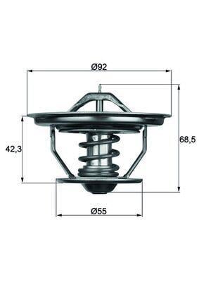 TERMOSTAT Thermostat insert