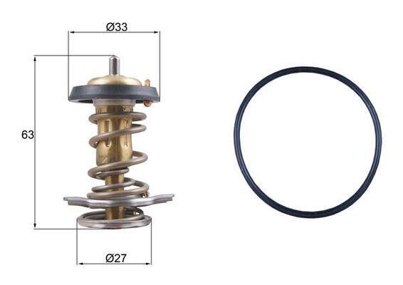 TERMOSTAT Thermostat insert
