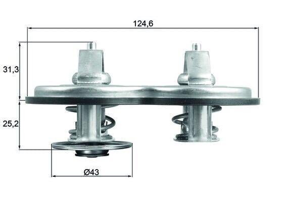 TERMOSTAT Thermostat insert