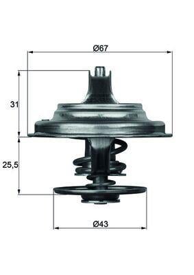 TERMOSTAT Thermostat insert
