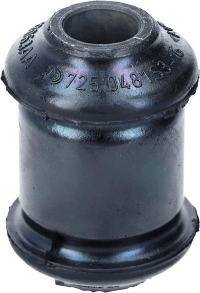 TRAILING ARM MOUNTING