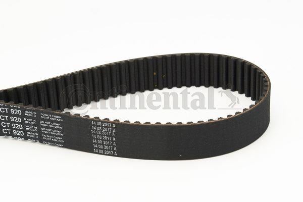 TRİGER KAYIŞI 253x300 PASSAT 2.8 30V 96 > TOUAREG 4.2 40V 02-06 - AUDI A4-A6-A8 5493XSx C