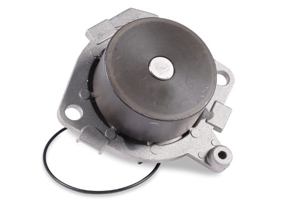 water pump - corr. 60816231